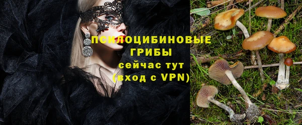 прущие грибы Чердынь