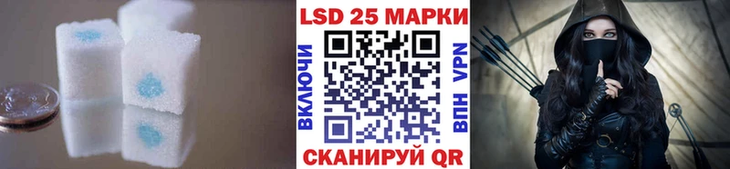 дарнет шоп  Сланцы  Лсд 25 экстази кислота 