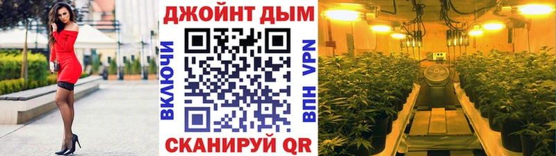Каннабис конопля Сланцы